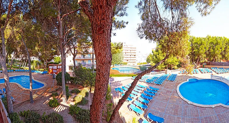 Hotel Sahara Nubia Gobi Bay 埃尔阿雷纳尔